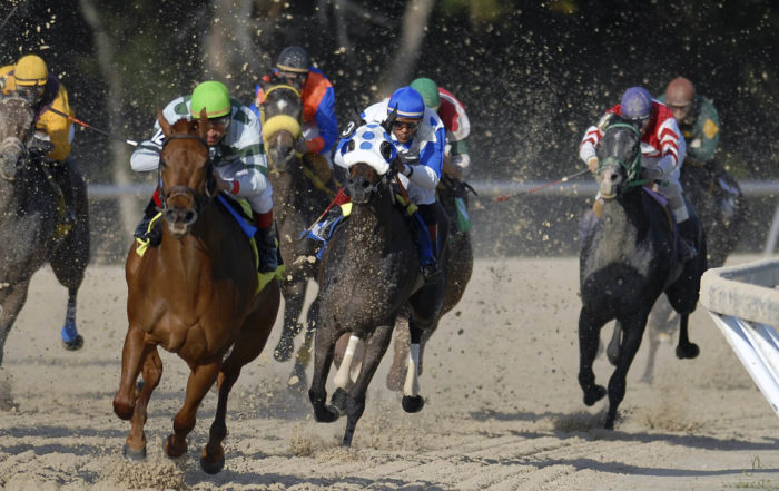 Comment jouer au tiercé avec PMU en Ligne